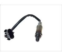 Sonda lambda BOSCH 0 258 005 055 per NISSAN X-TRAIL I (T30) 2.2 2003-2013
