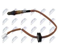 NTY ESL-MS-008 Sonda lambda