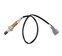 NTY ESL-SB-011 Sonda lambda