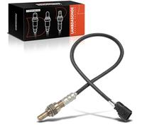 Sonda lambda Frankberg Sonda di regolazione a 4 poli prima del catalizzatore Compatibile con Clio III BR0/1 CR0/1 KR0/1 SB SR 2006-2012 Kangoo KC0/1 FC0/1 2002-oggi Logan I KS 2007-2010 8200632270