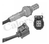 CALORSTAT by Vernet Sonda lambda