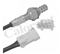 CALORSTAT by Vernet Sonda lambda