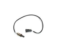 Sonda Lambda O2 Per Ducati Per Diavel Per 1200 2011 2012 2013 2014 2015 2016 2017 55212092A
