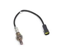 Sonda Lambda O2 Per Ducati Per Monster Per 1100 Per 696 2009 2010 2011 2012 2013 55211491A