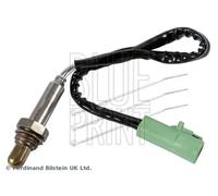 BLUE PRINT ADBP700063 Sonda lambda