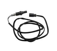 NTY ESL-PL-020 Sonda lambda
