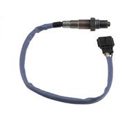 NTY ESL-NS-000 Sonda lambda