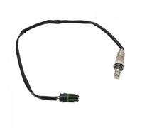 Delphi Sonda lambda ES20368-12B1 compatibile con BMW e Rolls-Royce