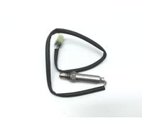 Rms Triumph T2204061 Ktm 75041090000 6815.41.050 Lambda Probe Argento