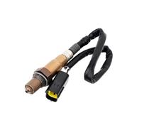 Sonda O2 Auto Per Changan Per Eulove Per Star 7 Per Bus Per Jac Per Heyue Sensore Di Ossigeno 0258006974 Sensore Ossigeno Auto