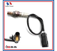 Sonda Ossigeno Catalizzatore Lambda RENAULT VEL SATIS 2.0 16V Turbo 8200036542