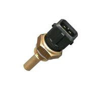 Sonda per indicazione temperatura dell'acqua BMW E36