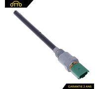 Sonda Sensore Livello Olio Motore Elettrico 2 Poli Nero DV6 1131G2