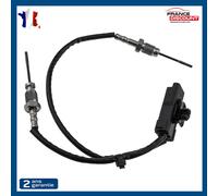 Sonda Temperatura Gas Scarico Per C3 C4 DS3 DS4 DS5 - 9808312080