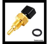 Sonda Temperatura Termostato Radiatore PIAGGIO GPR150-6 NUOVO