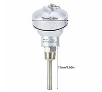 Sonda termocoppia 12 pollici PT100 con filettatura NPT per controllo temperatura