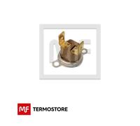 SONDA TERMOSTATO LIMITE RECUPERATORE VALMEX CALDAIA LAMBORGHINI CODICE 39817600