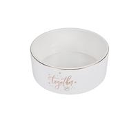 SONDEY Paris Prix - Ciotola per cane e gatto, 16 cm, colore: Bianco