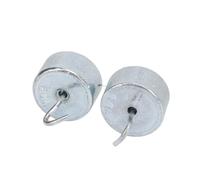 Sonew 2 Pesi con Gancio da 10 G in Acciaio Placcato con Custodia per Esperimenti di Fisica Ed Laboratorio