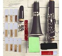 Sonew Set di Accessori per Clarinetto Completo 5 Pezzi con Cinghia e Canna Regolabili - Include Tessuti Morbidi, Pennello e Grasso di Sughero per Cure Ottimale dello Strumento