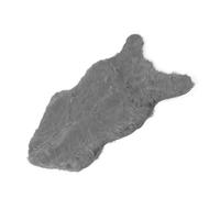 Sonew Tappeto in Peluche in Finta Pelliccia di Pecora per la Camera da Letto, il Soggiorno o l'arredamento del Divano, Morbido Tappeto per un Ambiente Domestico Accogliente (GRAY)