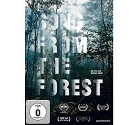 Song From The Forest