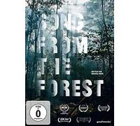 Song from the Forest (2013) [Import]