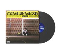 Songer - What If I Say No?
