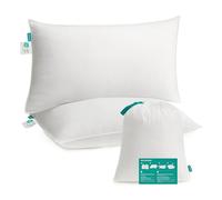 SONGMICS Cuscini Letto, Set da 2, 50 x 70 cm, Imbottitura 800 g, Rivestimento in Tessuto di Poliestere Spazzolato, Lavabile in Lavatrice a 60°C, Con Borsa, Bianco Nuvola TBP006W02