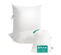 SONGMICS Cuscini Letto, Set da 2, 60 x 60 cm, Imbottitura 800 g, Rivestimento in Tessuto di Poliestere Spazzolato, Lavabile in Lavatrice a 60°C, Con Borsa, Bianco Nuvola TBP007W02