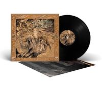 Songs Of The Shaman