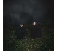O'o Songs of Wishes and Bones (Vinyl LP) 12" Album