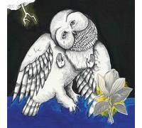 Songs-Ohia Magnolia Electric Co. (CD) Album