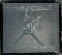 Sonic Temple - Hologram Picture Sleeve