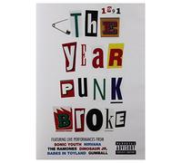 Sonic Youth - 1991 The Year Punk Broke