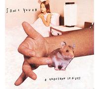 Sonic Youth - A Thousand Leaves