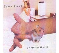 Sonic Youth A Thousand Leaves (CD) Album