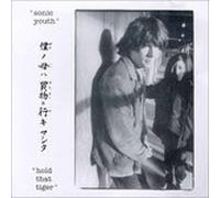 Sonic Youth - Hold That Tiger - Cd (japan)