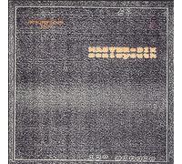 Sonic Youth - Master Dik