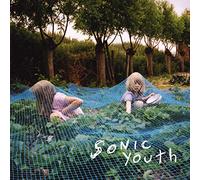 Sonic Youth Murray Street (Vinyl LP) 12" Album