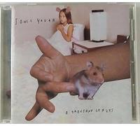 Sonic Youth - Thousand Leaves, a