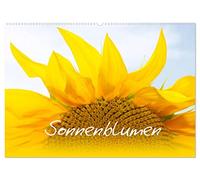 Sonnenblumen - die Blumen der Lebensfreude (Wandkalender 2026 DIN A2 quer), CALVENDO Monatskalender: Bezaubernde Naturaufnahmen - Sonnenblumenfelder und Sonnenblumenmakros