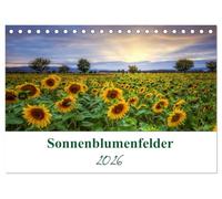 Sonnenblumenfelder (Tischkalender 2026 DIN A5 quer), CALVENDO Monatskalender: Sonnenblumen sind Blumen, die das Leuchten der Sonne zeigen.