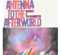 Sonny and the Sunsets Antenna to the Afterworld (CD) Album