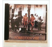 Sonny & Cher - Forbidden Vibe