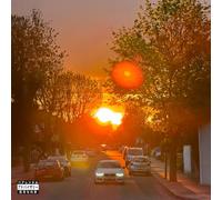 Sonnyjim X Giallo Point - Vinile Sonnyjim X Giallo Point - No Visible Means Of Income 3