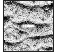 SONO - HUMAN