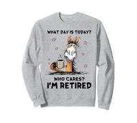 Sono in Pensione, Non Devo Non Voglio Andare in Pensione a Cavallo Felpa