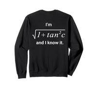 Sono Math Sexy Sono Sec C E Lo so Matematica (sul Retro) Felpa