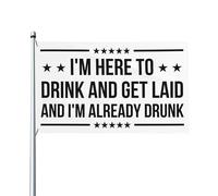 Sono qui per bere e fare sesso e sono già ubriaco, bandiera da 3x5 piedi per esterni, interni, cortile, prato, decorazione, bandiera da giardino, cartello
